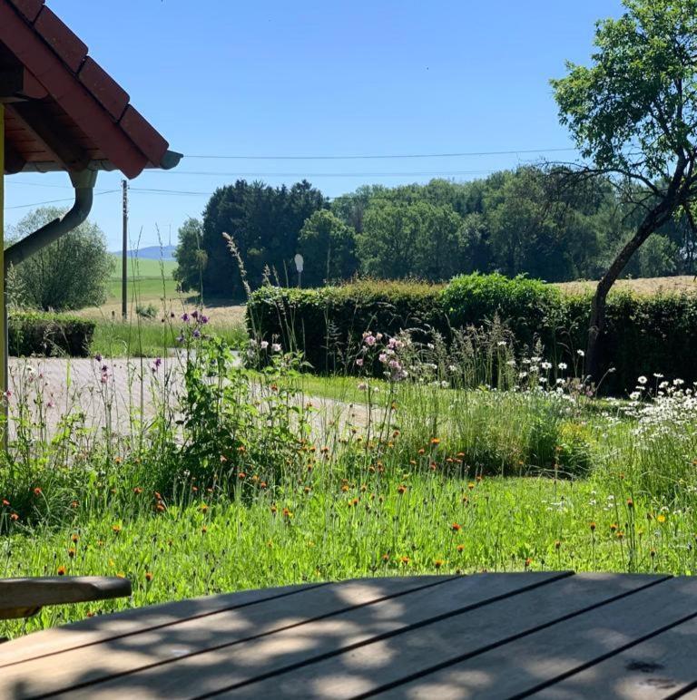 Urlaub Mit Hund Auf Dem Bauernhof Hofswald Apartment Euscheid Екстериор снимка