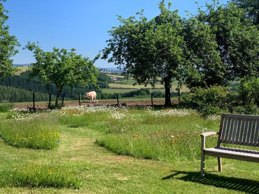 Urlaub Mit Hund Auf Dem Bauernhof Hofswald Apartment Euscheid Екстериор снимка