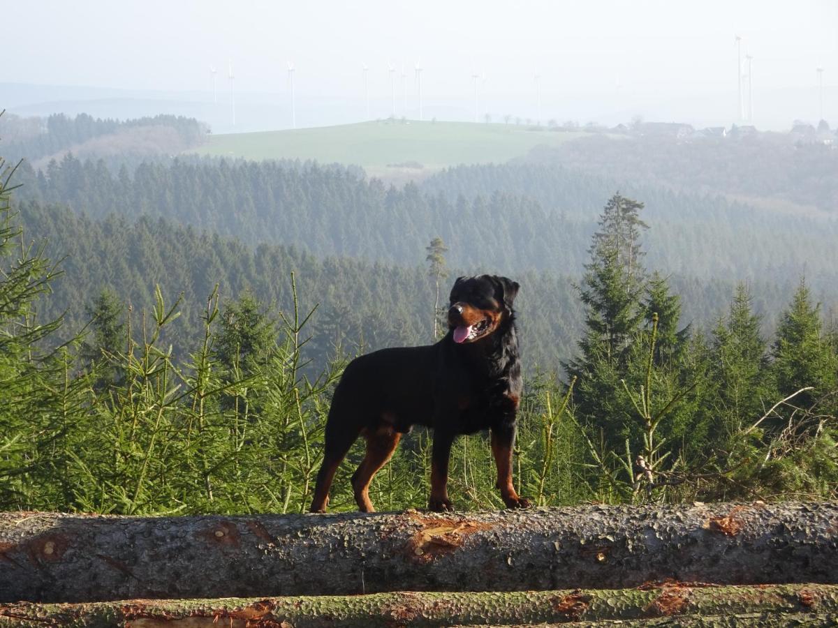 Urlaub Mit Hund Auf Dem Bauernhof Hofswald Apartment Euscheid Екстериор снимка