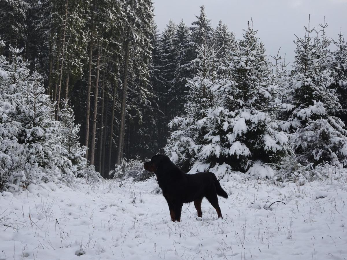 Urlaub Mit Hund Auf Dem Bauernhof Hofswald Apartment Euscheid Екстериор снимка